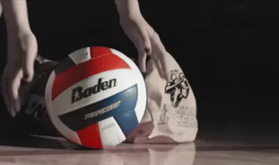 Buy Baden Perfection Leather Volleyball