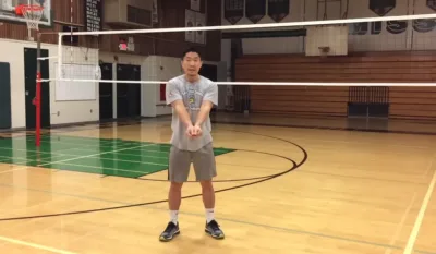 Buy Bison Carbon Max Composite Volleyball Systems